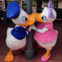 りおなさん♡専用のサムネイル