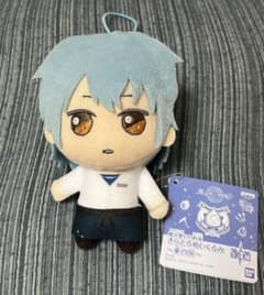 魔法使いの約束 ネロ きらどる ぬいぐるみ まほやくのサムネイル