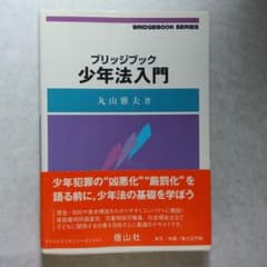 ブリッジブック少年法入門のサムネイル
