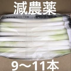 不揃いカットネギ　　　　　おいし〜いよ！ 　　A4サイズのサムネイル