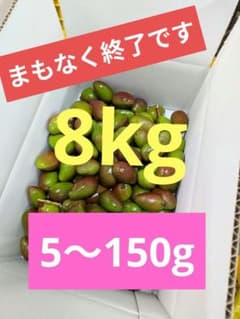 摘果マンゴー8kg 5〜150g訳あり - メルカリ