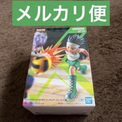 HUNTER × HUNTER 곤 GI편 피규어