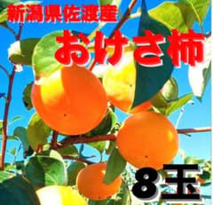 新潟県佐渡 羽茂産 おけさ柿 8玉のサムネイル