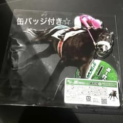 ダービー馬列伝くじ あたり ナリタブライアン BIGアクリルスタンド