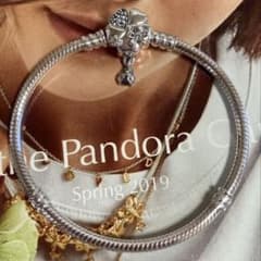 パンドラ PANDORAフラワーとてんとう虫ブレスレット 18cm - メルカリ