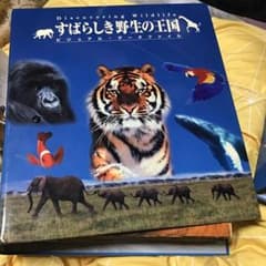 Discovering Wildlife すばらしき野生の王国　6個セット m37178331682_1.jpg?1772782524