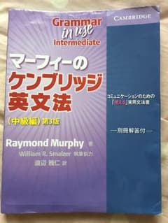マーフィーのケンブリッジ英文法(中級編)第3版のサムネイル