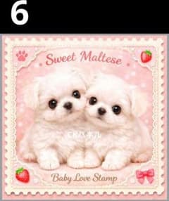 オーダーページ ハンカチ 511 わんこ柄ピンク ハンドメイド2/5 - メルカリ