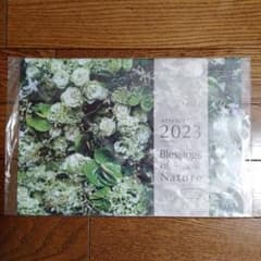 2023  アテニア  オリジナルカレンダー  壁掛けのサムネイル