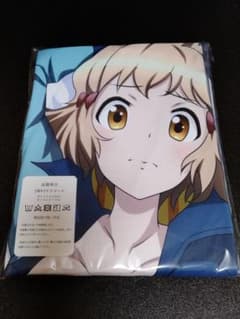 は*ん様 【34】戦姫絶唱シンフォギア 立花響 抱き枕カバーのサムネイル