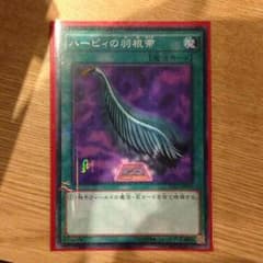 ハーピィの羽箒箒のサムネイル
