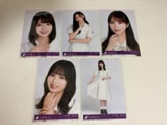 乃木坂46 阪口珠美 井上和 与田祐希 佐藤璃果 生写真 5枚セットのサムネイル