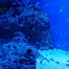 ぼけちん様専用のサムネイル