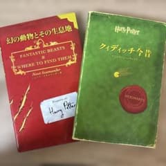 クィディッチ今昔 幻の動物とその生息地 ニュート・スキャマンダー著のサムネイル