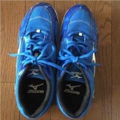 甘エビ王子様  MIZUNO   スニーカー   25.5㎝のサムネイル