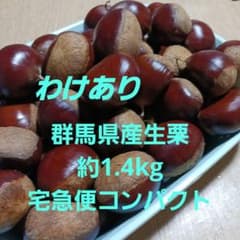 チク様 リクエスト 2点 まとめ商品のサムネイル
