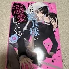 拾った総長がなんか溺愛してくる(泣)のサムネイル
