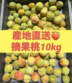 桃 摘果桃 早摘み 若桃 硬い桃 カリカリ 加工用 約 10kg - メルカリ