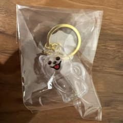 毛だま収納ケース　ポメラニアン　キーホルダーのサムネイル