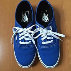 少しお値引きしました‼︎VANSのスニーカーのサムネイル