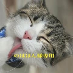 iPhone5 au ジャンクのサムネイル