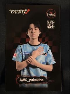 第五人格 AWG yukakina ゆかきな 直筆サイン 第五人格 COA ポストカード ゆかきな yukakina 通常 - メルカリ