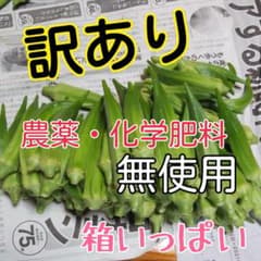農薬・化学肥料　無使用　訳ありオクラのサムネイル