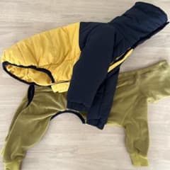 イタグレ服セットのサムネイル