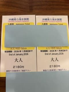 沖縄美ら海水族館 大人入場券 2枚　4,000円のサムネイル