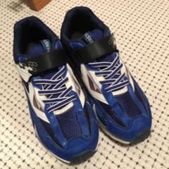 moon star  23cmのサムネイル