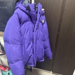 国内正規】店舗限定ノースフェイス“Hoarfrost Jacket”Lサイズ - メルカリ