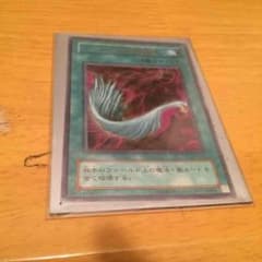 ハーピィの羽根箒のサムネイル