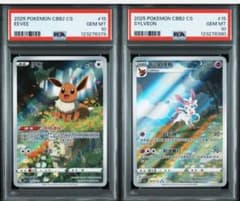 psa10】宝石パックvol2 イーブイ ニンフィア AR psa10 連番 - メルカリ