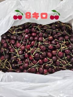 アメリカンチェリー 8キロ 11.5R - メルカリ