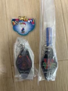 USJ 25周年 アクリルチャーム 3種セットのサムネイル