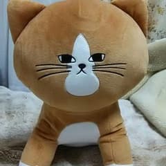 猫のぽんた お座りBIGぬいぐるみのサムネイル