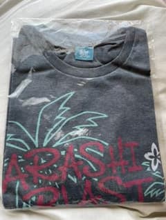 嵐　ハワイ　Tシャツのサムネイル