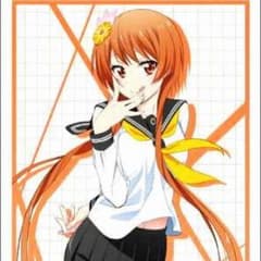 ニセコイスリーブのサムネイル