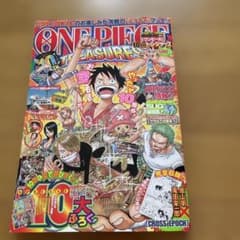 ONE PIECE 10TH TREASURES 漫画雑誌 - メルカリ