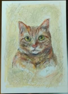 秋*風様 絵画 パステル画 オイルパステル 手描き 原画 猫の絵 猫の絵画ドロー - 2