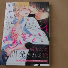 BL本のサムネイル