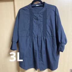 大きいサイズ ピンタックブラウス 3Lのサムネイル