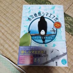 KADOKAWA 青春 永久機関シマエナガ よんはいめっ！4