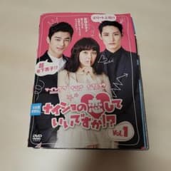 ナイショの恋していいですか⁉︎ DVD 全巻セット 全話 全12巻韓流韓国