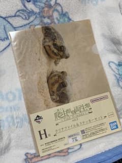 一番くじ 爬虫類＆両生類 H賞 クリアファイル＆ステッカーセットのサムネイル
