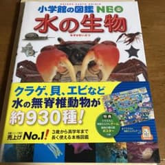 水の生物のサムネイル