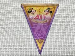 東京ディズニーリゾート 40周年 ドリームゴーラウンド