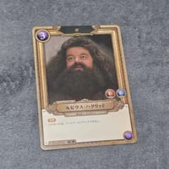 最終値下】ハリー・ポッター カード TCG 賢者の石 ハグリット - メルカリ
