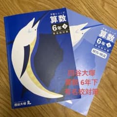 中学受験】四谷大塚 予習シリーズ 算数 6年下 有名校対策 - メルカリ