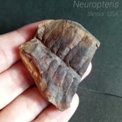 m37333324426_1.jpg?1708009587